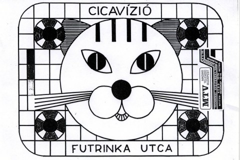 Cicavízió (Cicavízió)