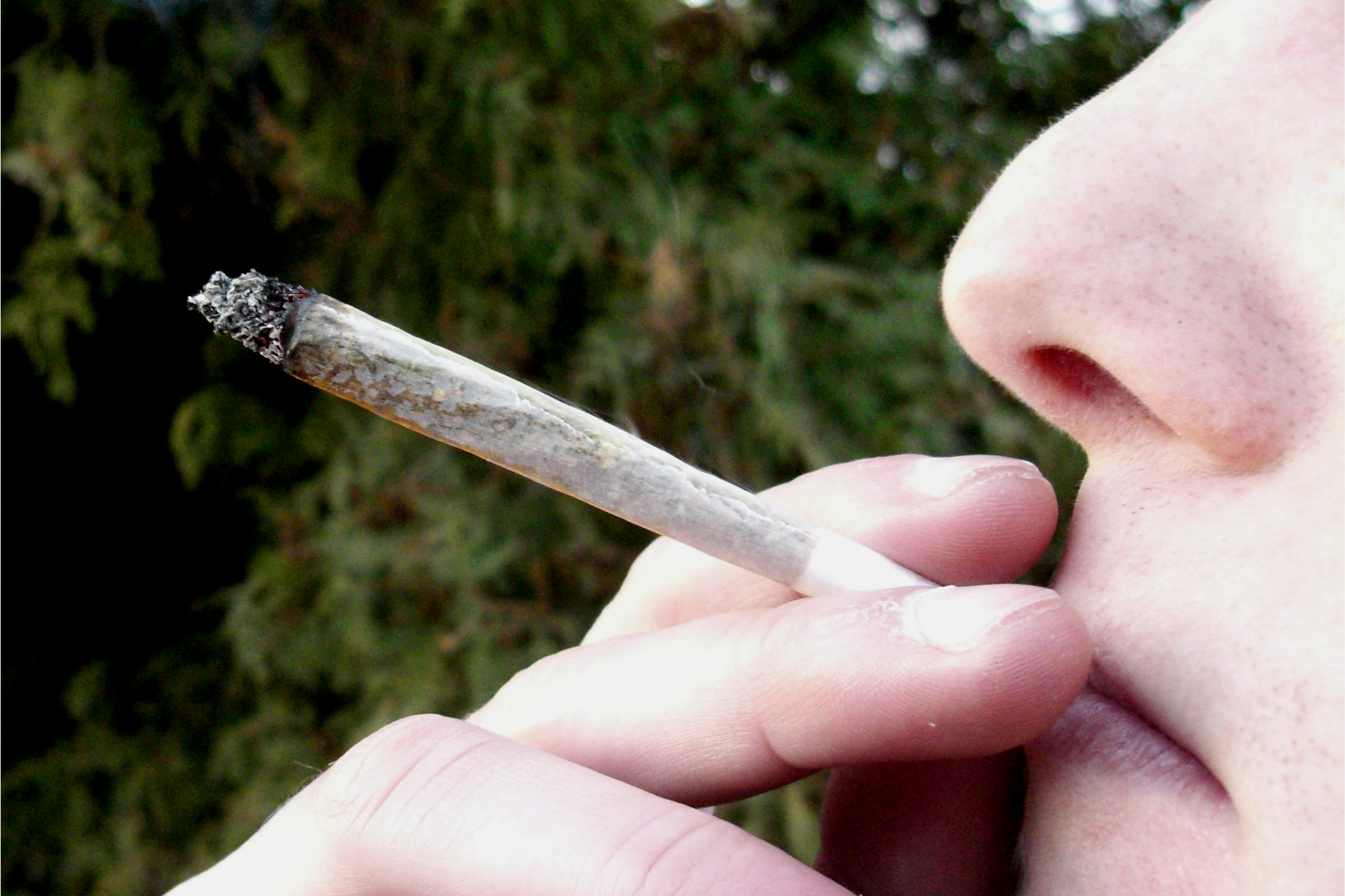 Fuves-cigi(210x140).jpg (joint, füves cigi, )