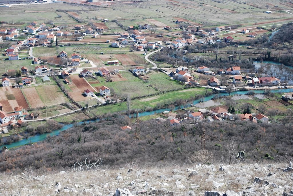 Jaszenyica (falu, bosznia és hercegovina, )