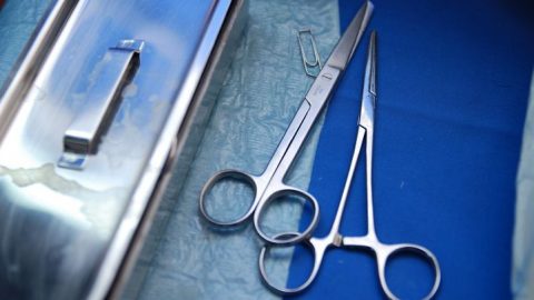 abortusz (abortusz, )