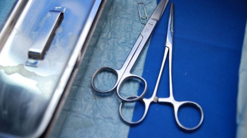 abortusz (abortusz, )