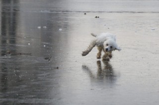 fagy jég (fagy, jég)