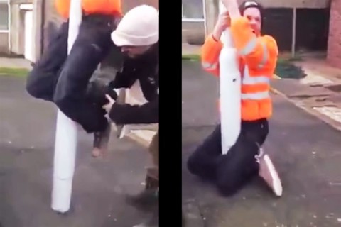 grape-vine-prank(960x640).jpg (átverés, videó, kínzás, )