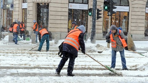 homunkas(210x140).jpg (hómunkás)