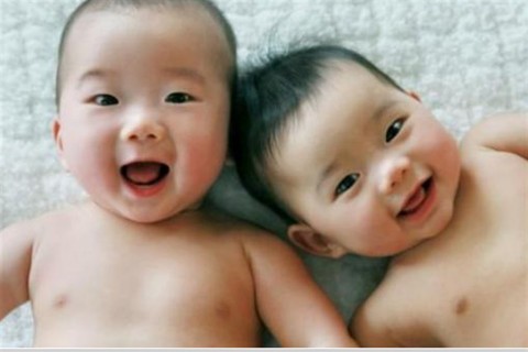 ikrek(960x640).jpg (ikrek, )