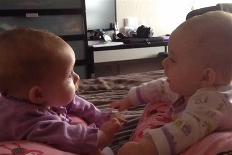 ikrek(960x640).jpg (ikrek, )