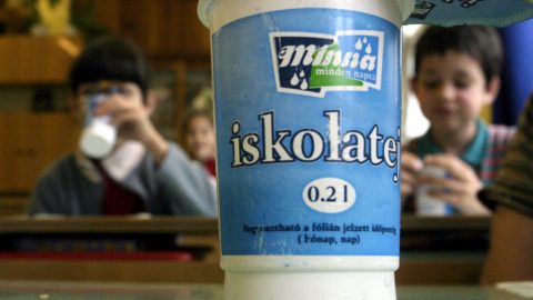 iskolatej (iskolatej)