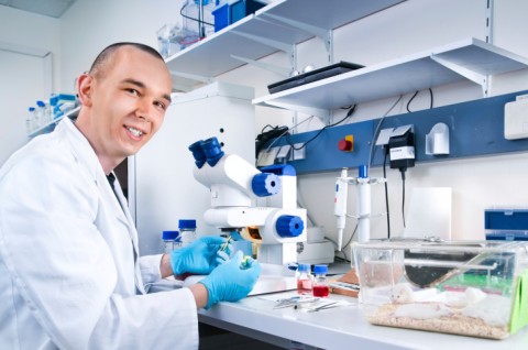 laboratórium egérrel (laboratórium, egér, fehér egér)