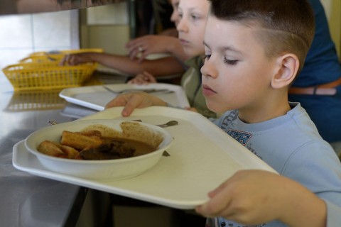 menza(430x286).jpg (menza, )