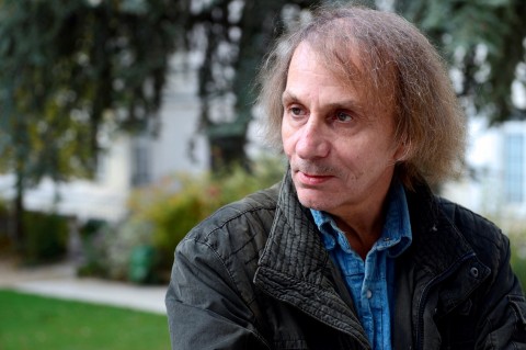 michel houllebecq (michel houllebecq, )