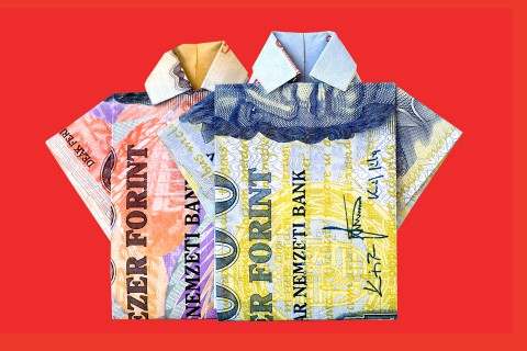 pénz, forint, euro, frank, deviza, pénzügy, gazdaság (pénz, forint, euro, frank, deviza, pénzügy, gazdaság, )