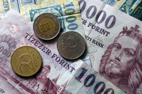 pénz, forint, euro, frank, deviza, pénzügy, gazdaság (pénz, forint, euro, frank, deviza, pénzügy, gazdaság, )
