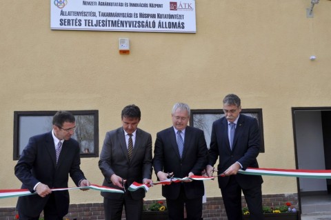 sertés átadás (fazekas sándor, horváth istván)