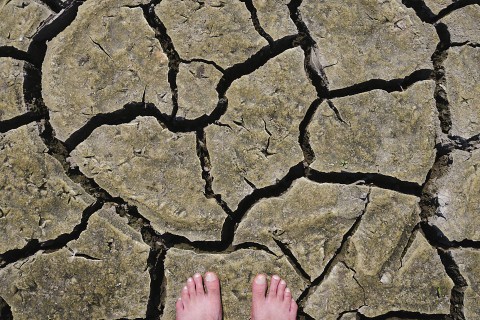 szárazság (szárazság)