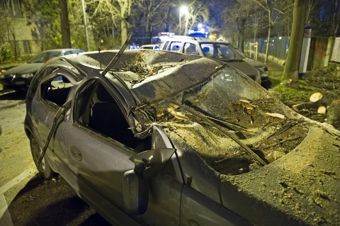 szélvihar (szél, szélvihar, viharkár, )