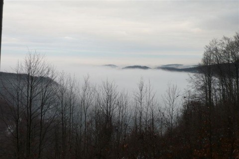 teli-erdo(960x640).jpg (utazás, túrázás, túra, tél, )