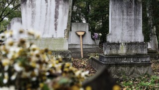 temető (temető, parcella, szociális temetés, )