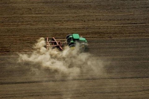 termofold(8)(960x640).jpg (föld, termőföld, )