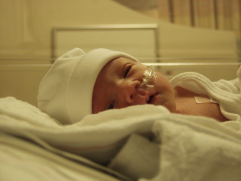 újszülött (újszülött, )