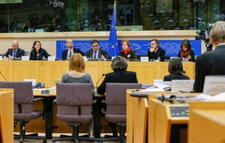 vita a magyarokról az EP-ben (európai parlament )