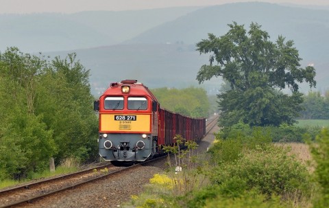 vonat(430x286).jpg (vonat)