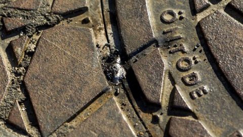 Csatornafedél (Csatornafedél)