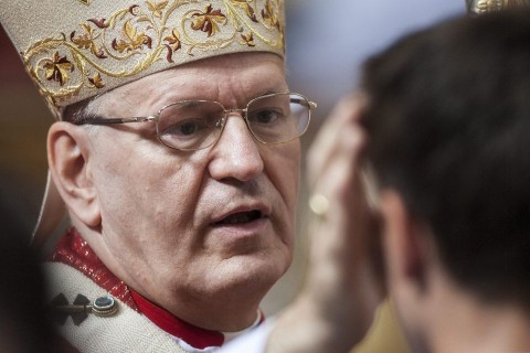 Erdő Péter szentmise (mise, szentmise, erdő péter bíboros,)