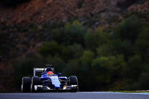 Felipe Nasr (felipe nasr, )