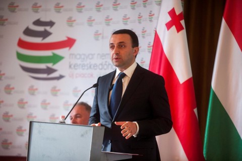 Irakli Garibasvili (irakli garibasvili, )