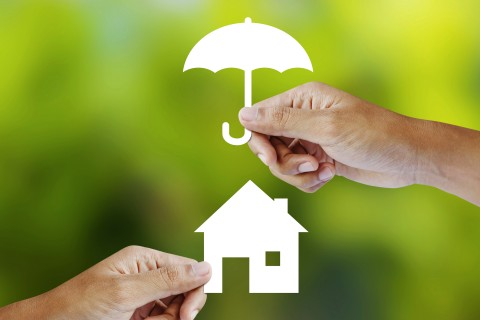 Lakásra gyűjt, álomotthon (Lakásra gyűjt, álomotthon)