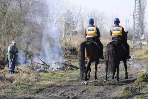 Lovas rendőrök a zöld határnál (bevándorlók, )