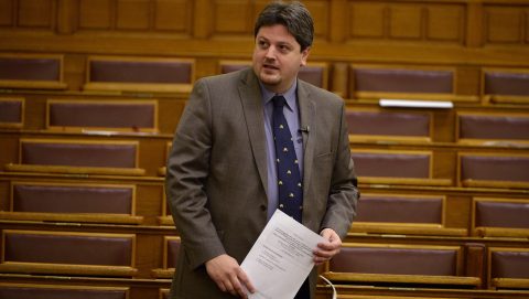 bárándy gergely (bárándy gergely, )