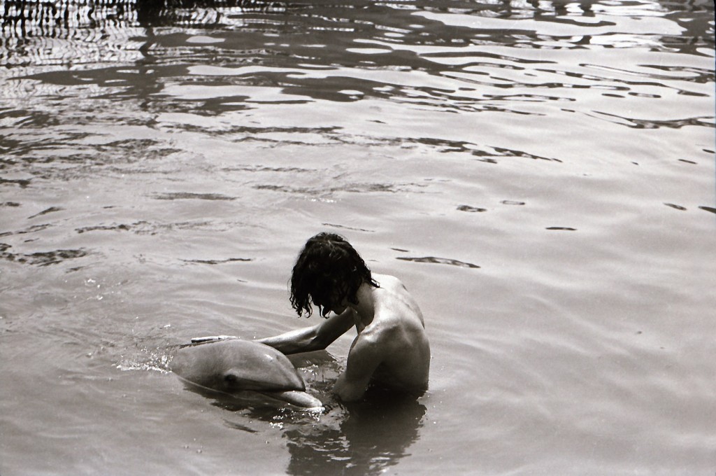 dolphin lover 1 (delfin, dokumentumfilm, )