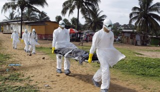 ebola (ebola)