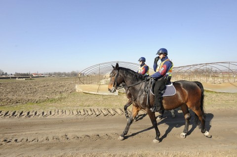 határsértők (határsértők)