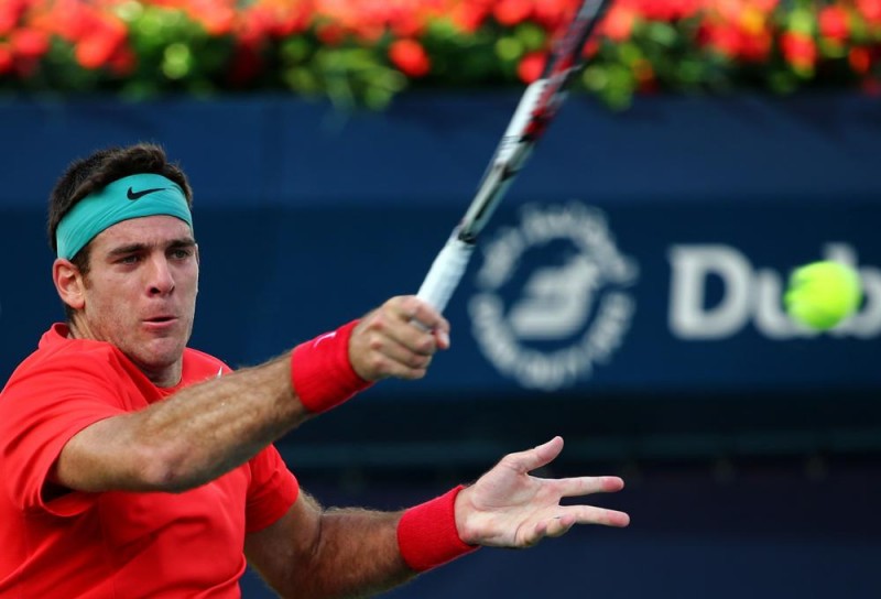 juan martin del potro (juan martin del potro)