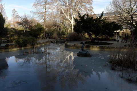 margitsziget (margitsziget)