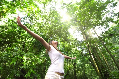 nő fákkal (nő, fák, természet, )