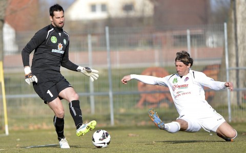 nyíregyháza spartacus (nyíregyháza spartacus)