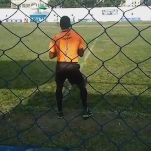 partjelző (partjelző)