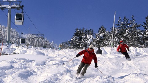 pireneusok, síelők (pireneusok, síelők)