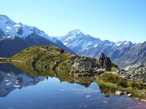pitcairn szigetek (pitcairn-szigetek)