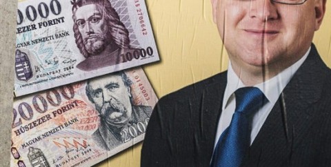 szepessy zsolt (szepessy zsolt)