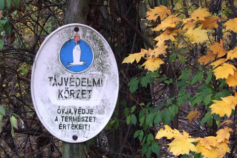 természetvédelmi terület (természetvédelmi terület, természet védelem)