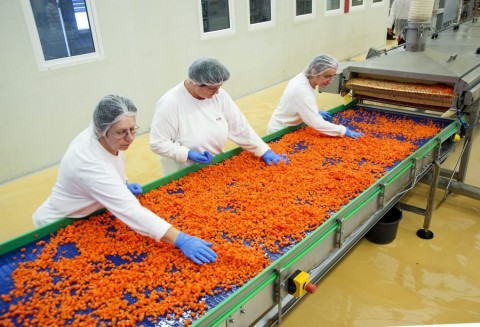 vállalkozás (vállalkozás, munkás, mirelit, répa, élelmiszeripar,)