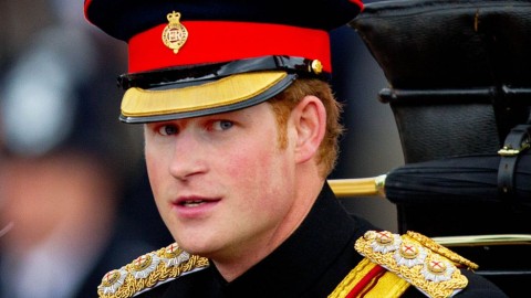 Harry herceg (harry herceg, )