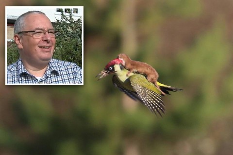 Ő készítette az internet új, kedvenc fotóját (Ő készítette az internet új, kedvenc fotóját)