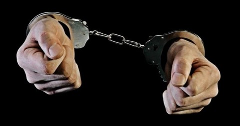 Őrizetben (gárdony, bűnügy, )