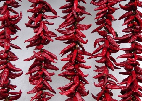 Paprika (paprika, fűszerpaprika, pirospaprika, )