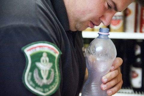 Penzugyor(960x640)(1).jpg (pénzügyőr, nav, )